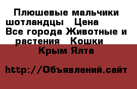 Плюшевые мальчики шотландцы › Цена ­ 500 - Все города Животные и растения » Кошки   . Крым,Ялта